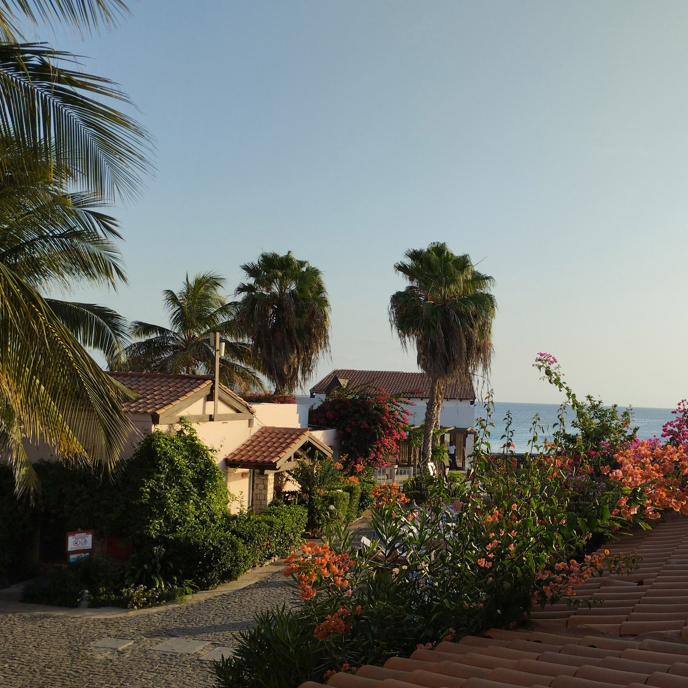 Vermietung und Verwaltung